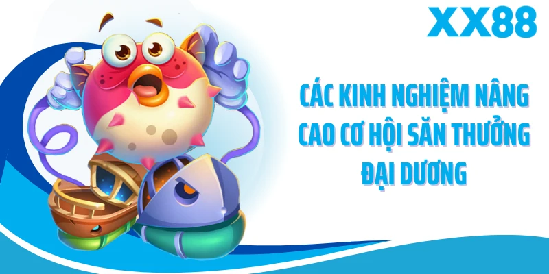 Các kinh nghiệm nâng cao cơ hội săn thưởng đại dương