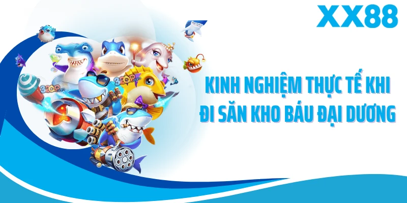 Kinh nghiệm thực tế khi đi săn kho báu đại dương